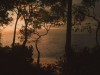 Lushfoil Photography Sim Screenshot 5