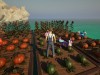 Isle Of Pochimoon Screenshot 5