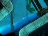Bahamut and the Waqwaq Tree Screenshot 5