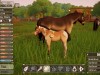 The Ranch of Rivershine Screenshot 4