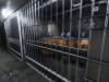 Synthetic Captive Screenshot 1