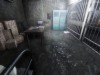 Synthetic Captive Screenshot 5