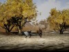 the Shadow of Swallow Screenshot 4