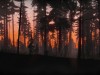 The Danger Zone Screenshot 3