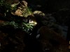 Pack It Out Screenshot 2