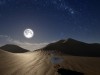 Ducky: The Curious Screenshot 1