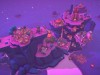 ISLANDERS: New Shores Screenshot 3