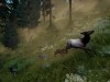 WolfQuest: Anniversary Edition Screenshot 5