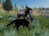 WolfQuest: Anniversary Edition Screenshot 3