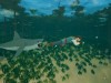 Captain Bones: A Pirate's Journey Screenshot 4