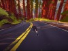 Driftwood Screenshot 1