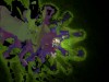 Mashina Screenshot 2