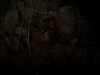 Forest 6174 Screenshot 5