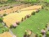 Global Farmer Screenshot 1