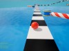 Ball Race Party Screenshot 2