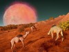 Stranded: Alien Dawn Screenshot 1