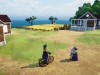 Tiny Whiny Island Screenshot 3