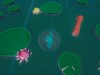 Swamp Up Screenshot 1