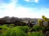 Tourist Bus Simulator Screenshot 5