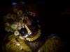 Clown Is Hungry Screenshot 1