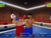 Boxing Simulator Screenshot 1