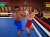 Boxing Simulator Screenshot 4