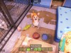 Animal Shelter 2 Screenshot 2