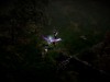 Diablo II: Resurrected - Infernal Edition Screenshot 3