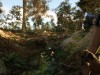 DREADZONE Screenshot 2