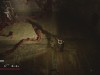 Where the forest ends Screenshot 1