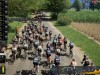 Pro Cycling Manager 26 Screenshot 2