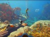 Subnautica 2 Screenshot 2