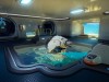 Subnautica 2 Screenshot 5