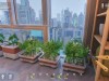 Tiny Eden Screenshot 4