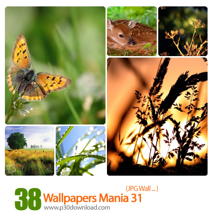 دانلود والپیپر های زیبا و گوناگون - Wallpapers Mania 031
