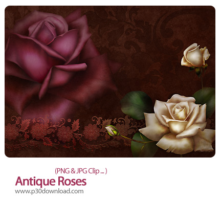 دانلود کلیپ آرت گل رز - Antique Roses
