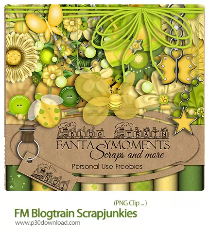 دانلود کلیپ تصویر سازی - FM Blogtrain Scrapjunkies