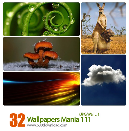 دانلود والپیپر کامپیوتر - Wallpapers Mania 111