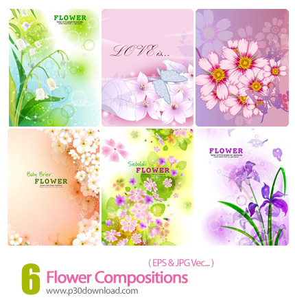 دانلود وکتور بک گراند گل دار - Flower Compositions