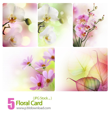 دانلود تصاویر کارت گل دار - Floral Card   