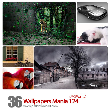 دانلود والپیپر کامپیوتر - Wallpapers Mania 124