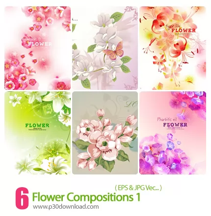 دانلود وکتور بک گراند گل دار - Flower Compositions 01