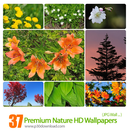دانلود والپیپر های طبیعت - Premium Nature HD Wallpapers 