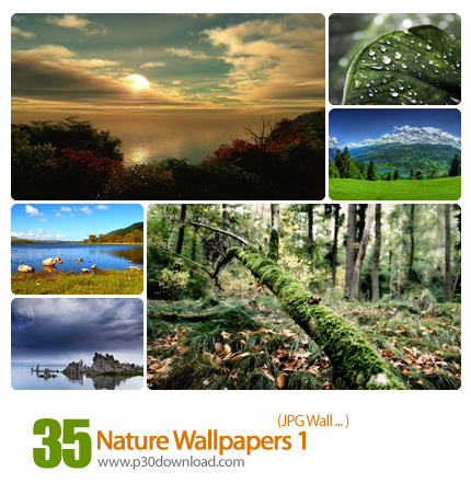 دانلود والپیپر های طبیعت - Nature Wallpapers 01