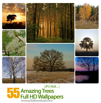 دانلود والپیپر های درخت - Amazing Trees Full HD Wallpapers