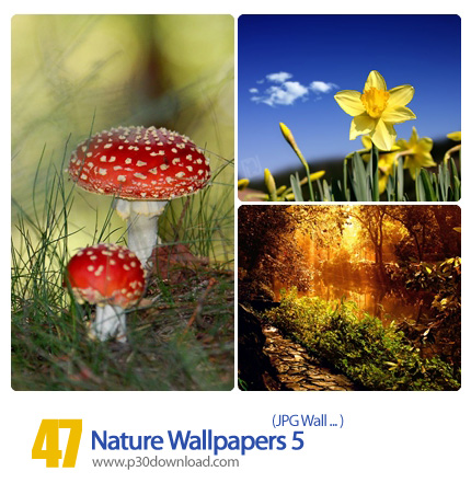 دانلود والپیپر های طبیعت - Nature Wallpapers 05
