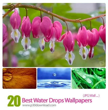 دانلود والپیپر قطره آب - Best Water Drops Wallpapers