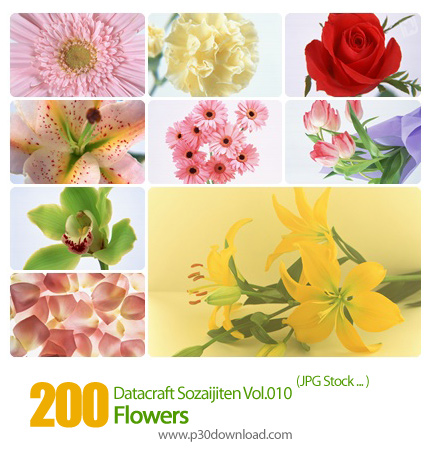 دانلود مجموعه عکس های گل - Datacraft Sozaijiten Vol.010 Flowers