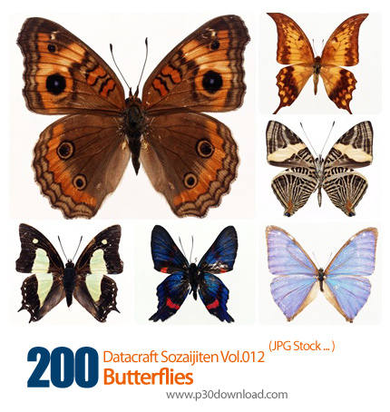 دانلود مجموعه عکس های پروانه ها - Datacraft Sozaijiten Vol.012 Butterflies