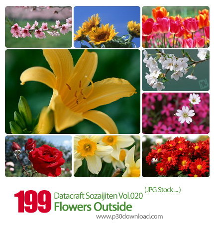 دانلود مجموعه عکس های گل - Datacraft Sozaijiten Vol.020 Flowers Outside
